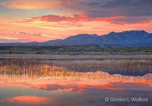 Bosque Sunset_73361.jpg - Photographed in the Bosque del Apache National Wildlife Refuge near San Antonio, New Mexico USA. 